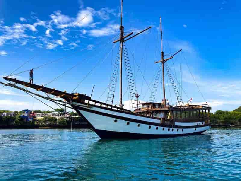 Thumbnail 9 Thumbnail 9