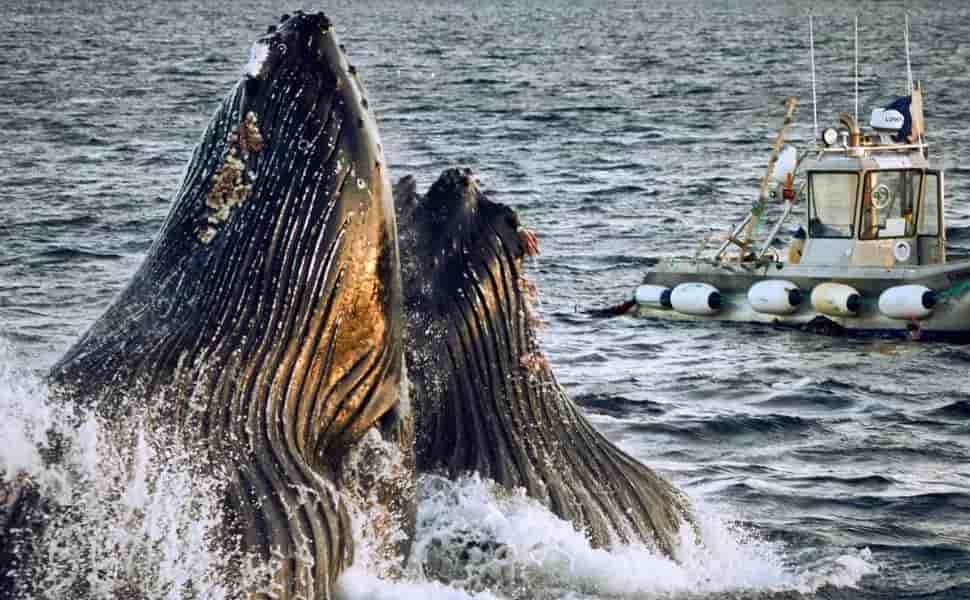 Thumbnail 9 Thumbnail 9