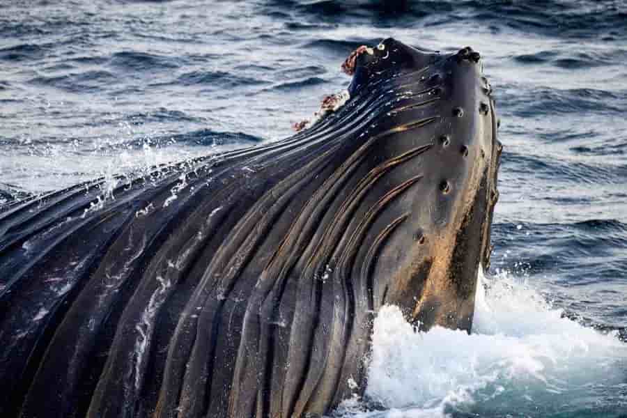 Thumbnail 12 Thumbnail 12