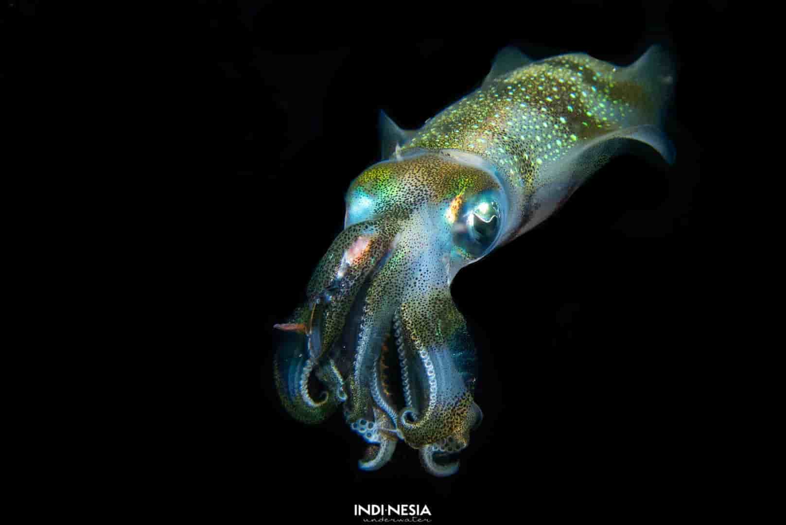 Thumbnail 16 Thumbnail 16