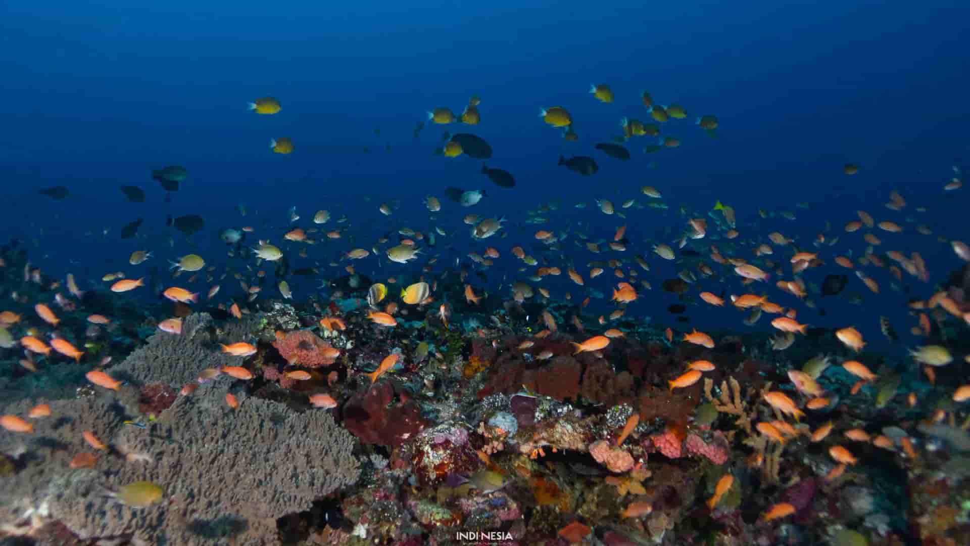 Thumbnail 19 Thumbnail 19