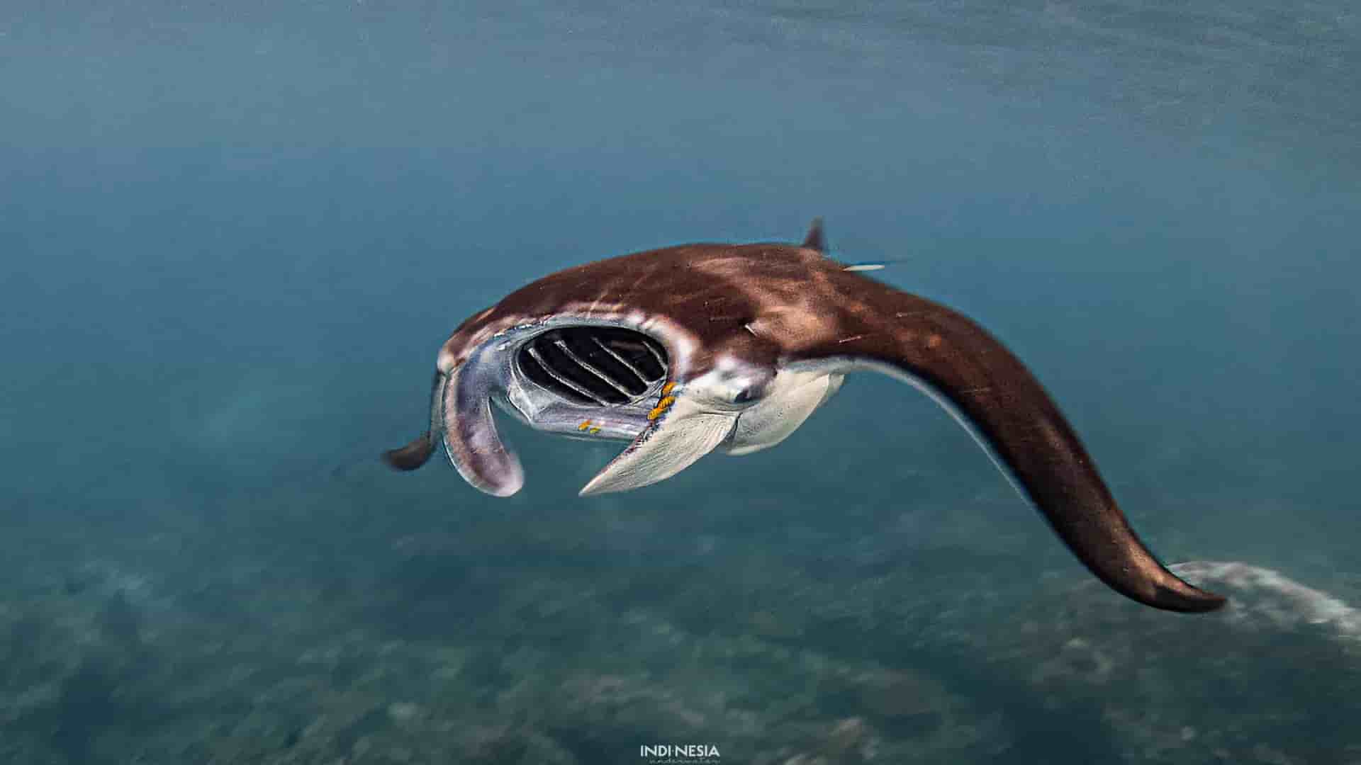 Thumbnail 21 Thumbnail 21