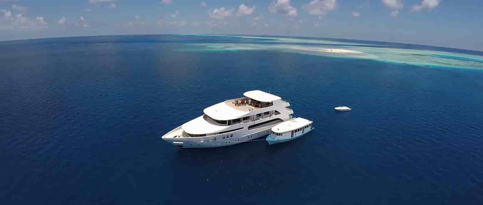 Thumbnail 11 Thumbnail 11