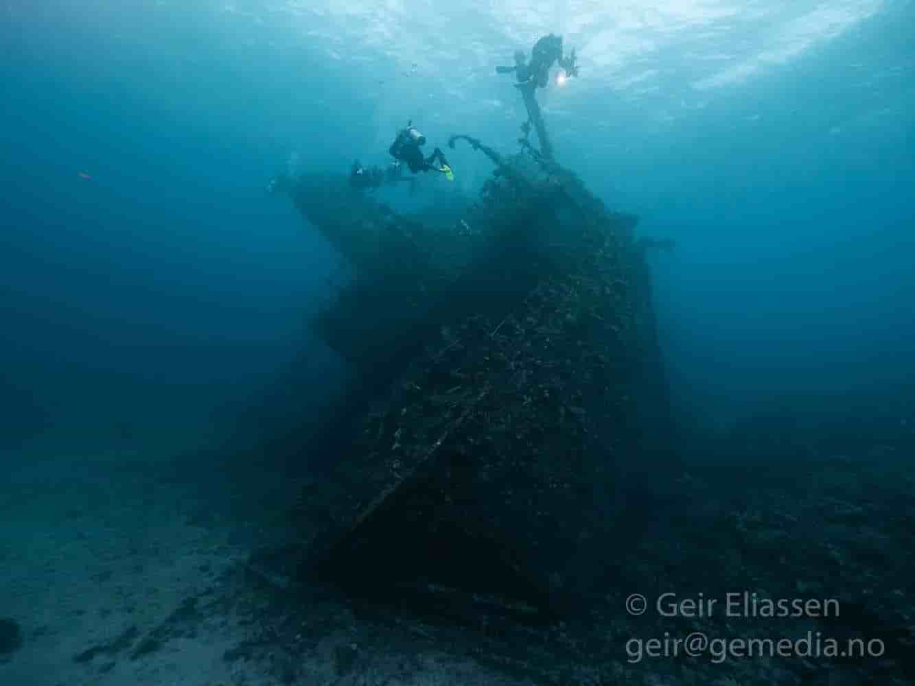 Thumbnail 4 Thumbnail 4