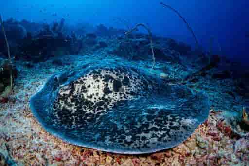 Thumbnail 10 Thumbnail 10