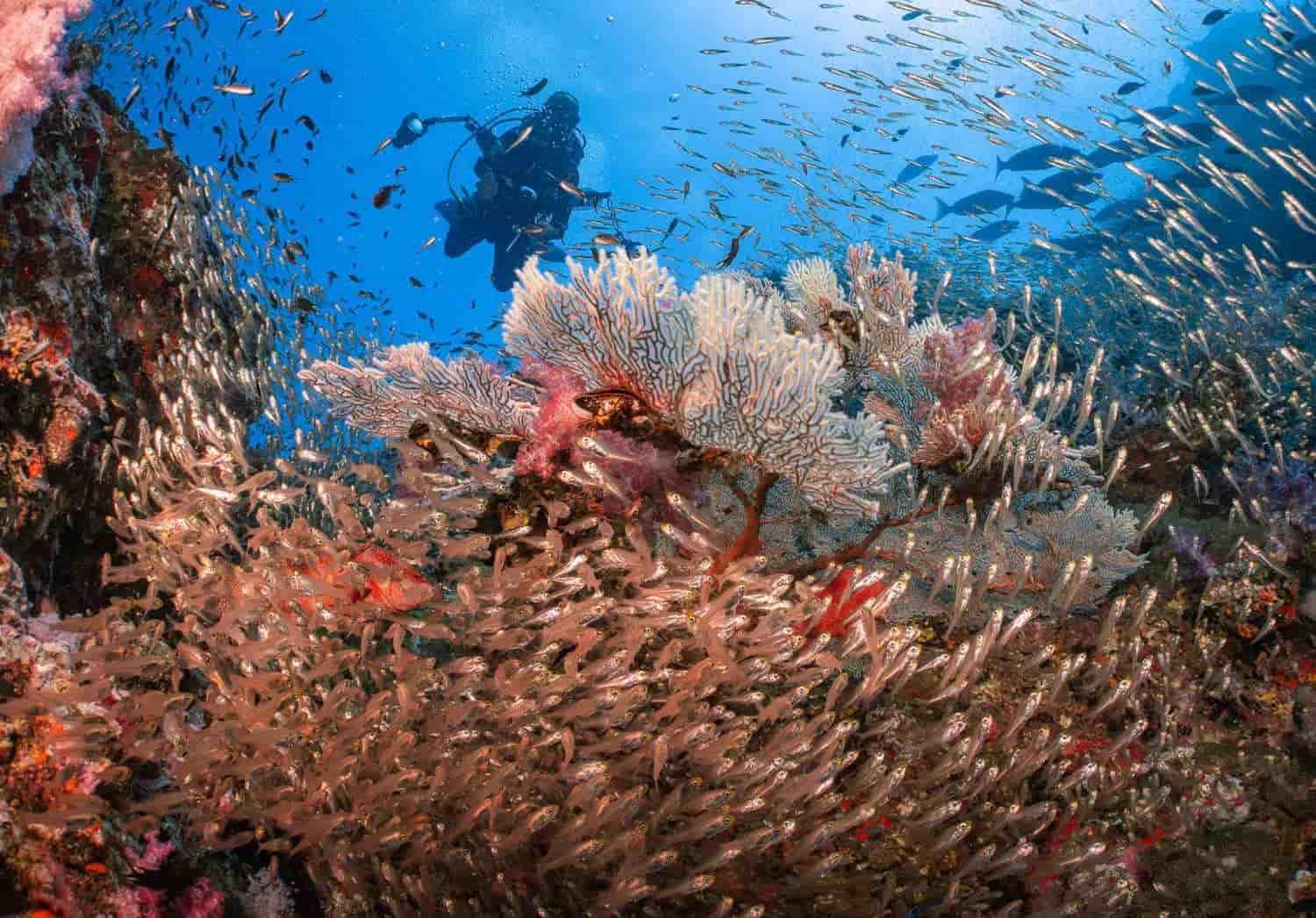 Thumbnail 3 Thumbnail 3