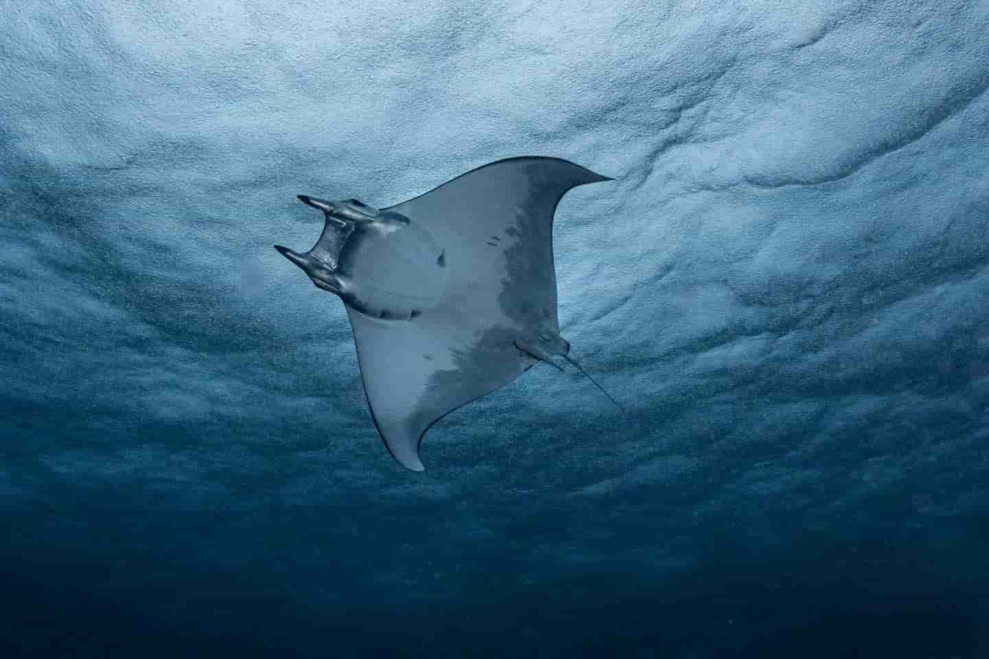 Thumbnail 6 Thumbnail 6