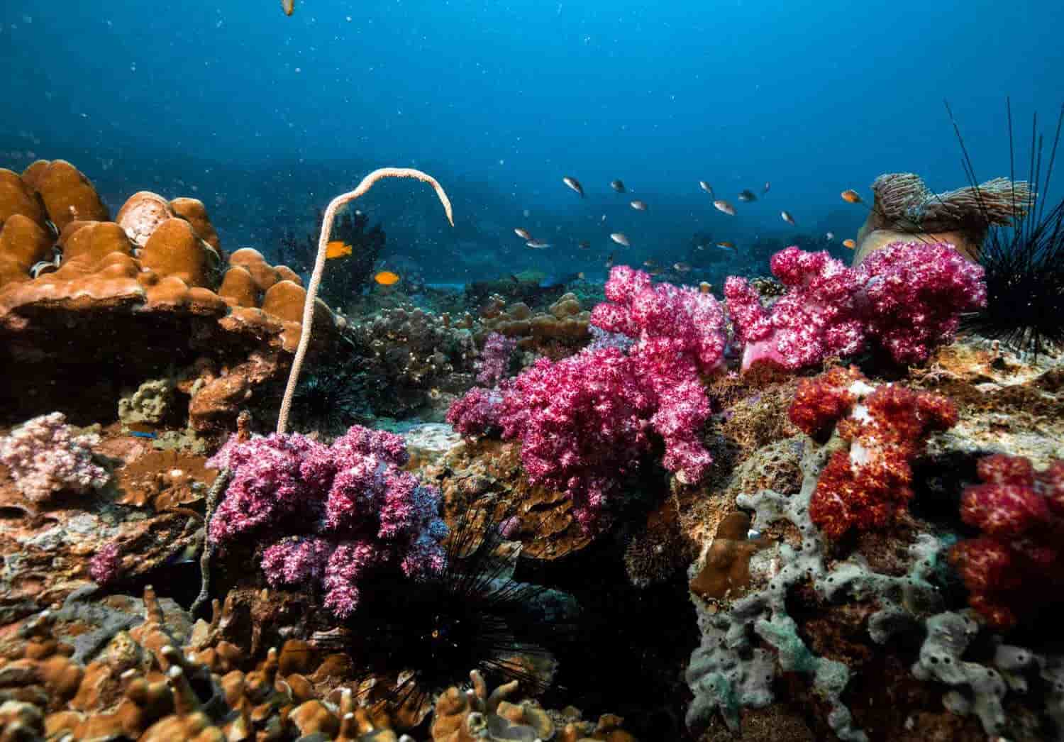 Thumbnail 13 Thumbnail 13