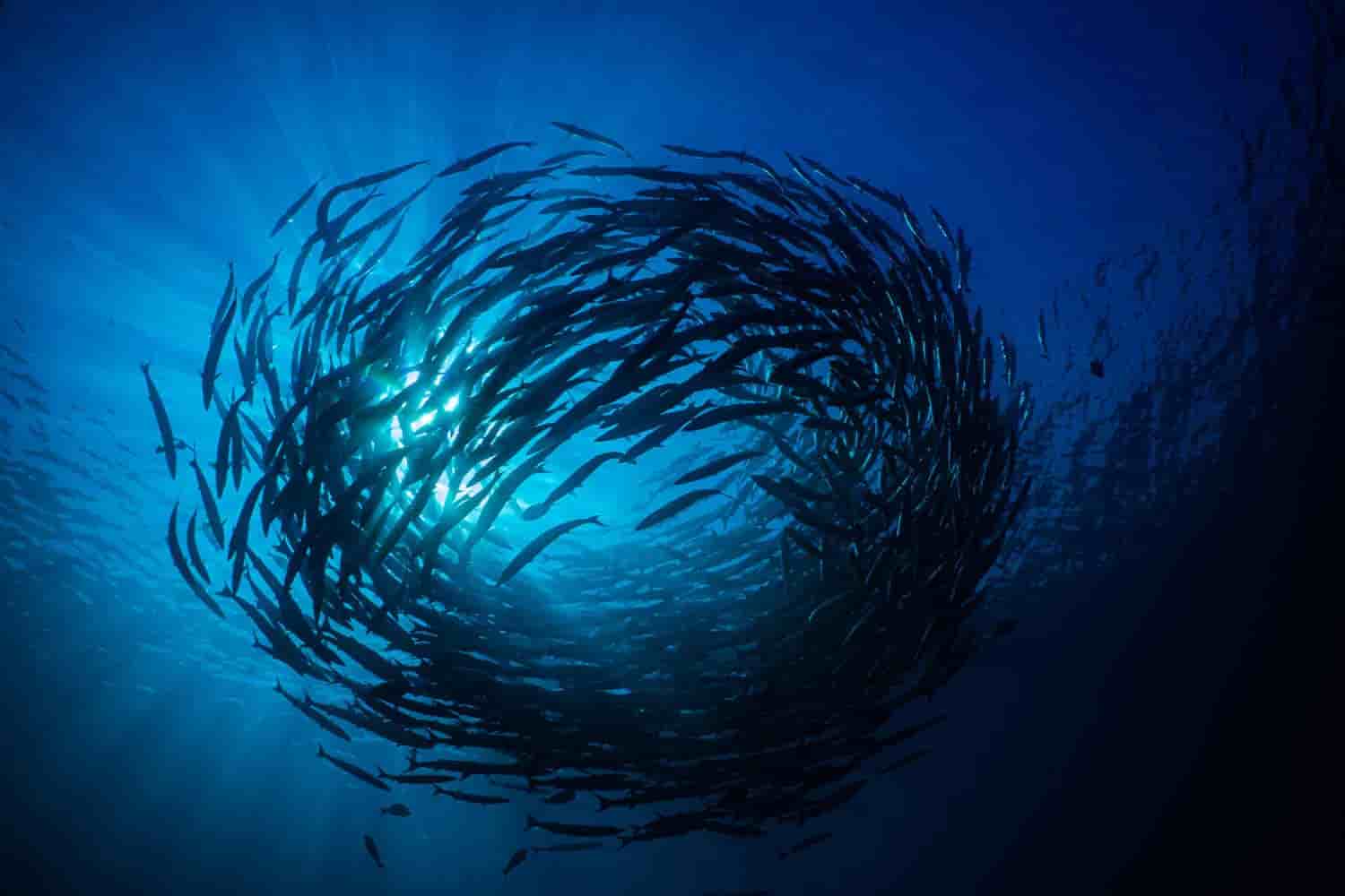 Thumbnail 14 Thumbnail 14