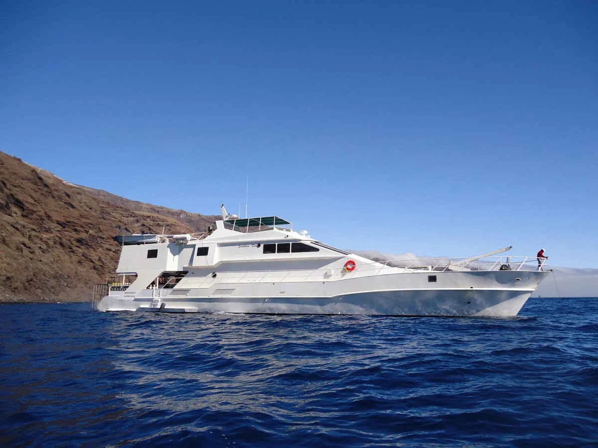 Southern Sport - image Southern Sport - image