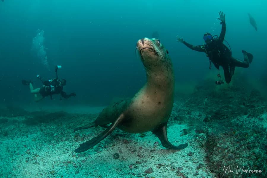 No alternative text provided No alternative text provided