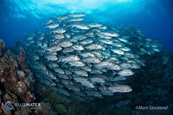 No alternative text provided No alternative text provided