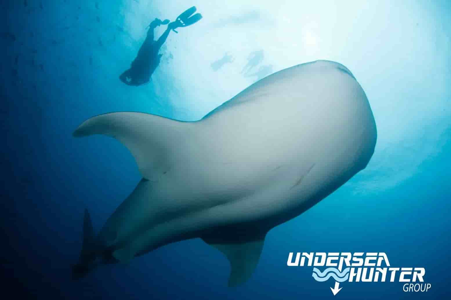 Thumbnail 3 Thumbnail 3