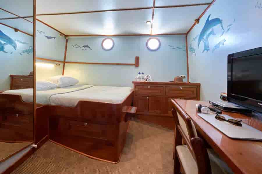 Thumbnail 9 Thumbnail 9