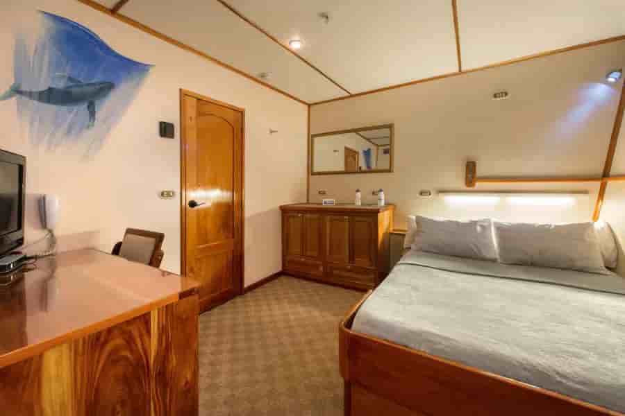 Thumbnail 12 Thumbnail 12