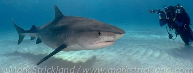 No alternative text provided No alternative text provided