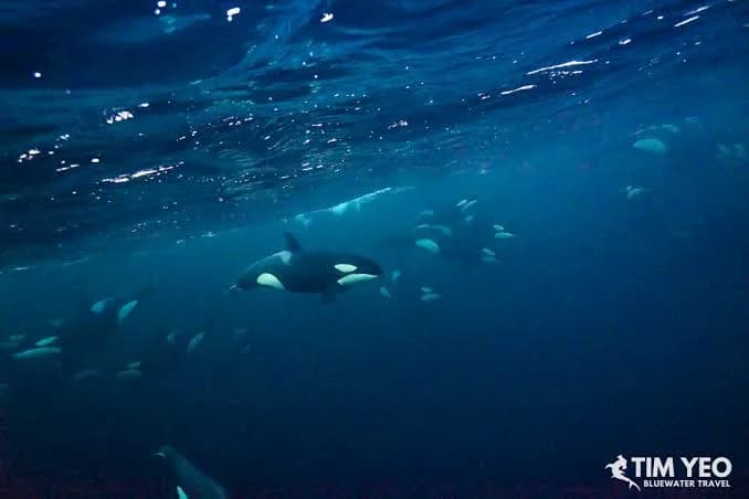 No alternative text provided No alternative text provided