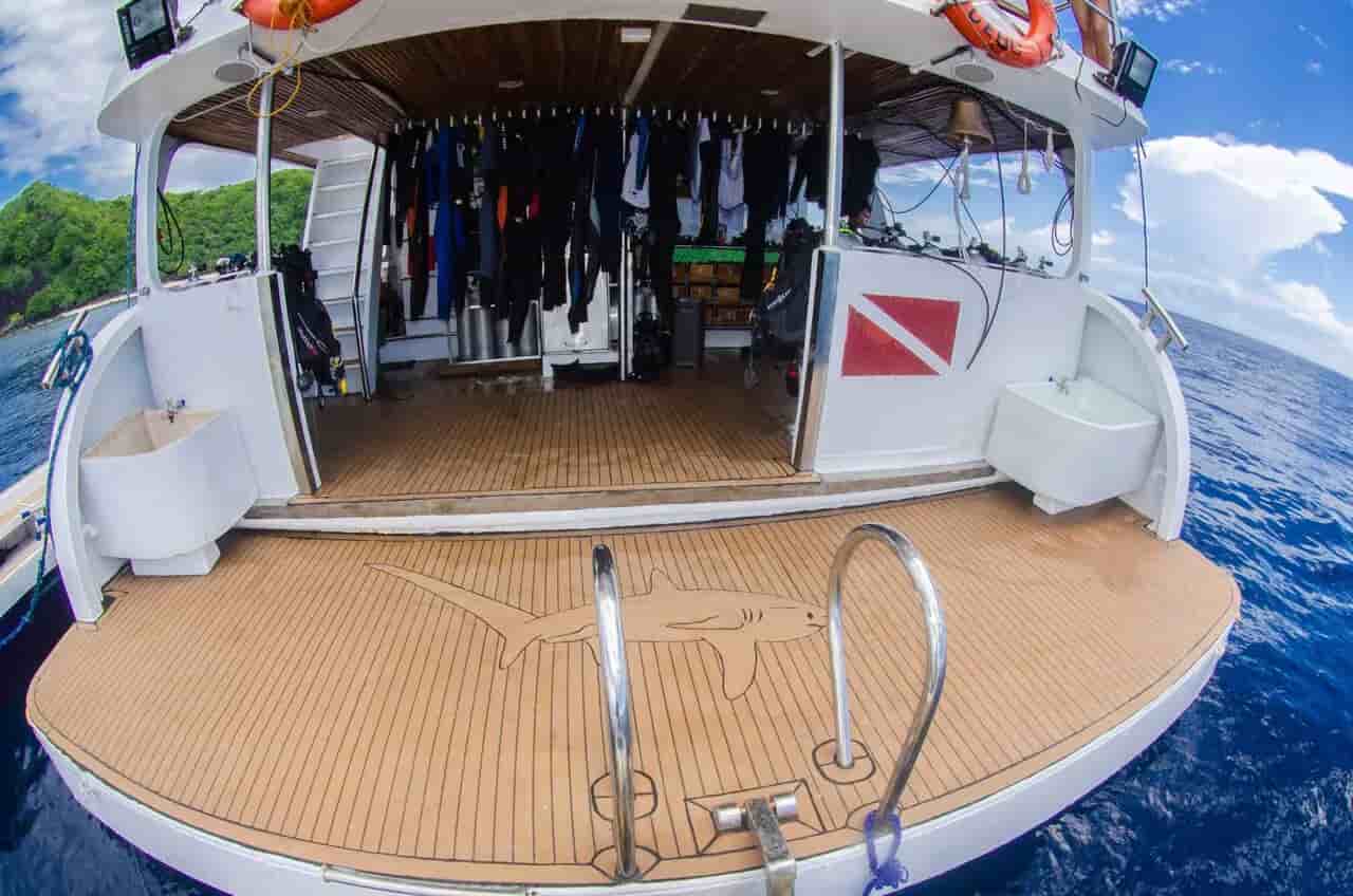 Thumbnail 9 Thumbnail 9