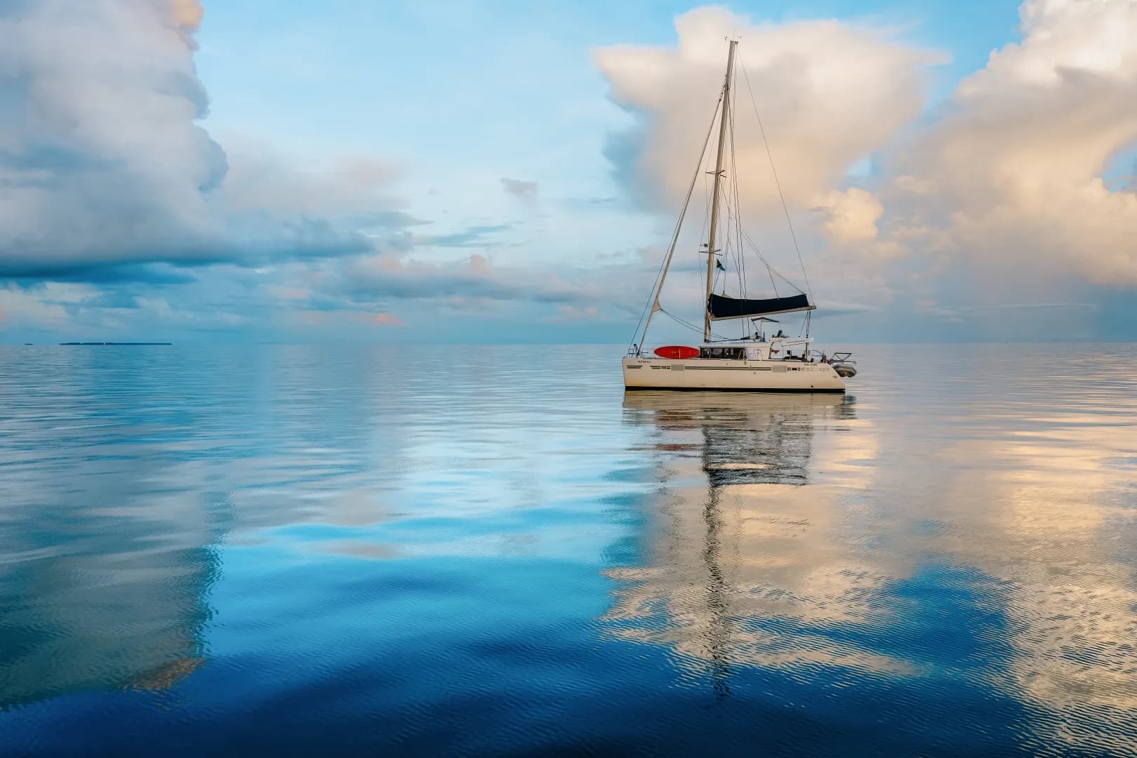 Butterfly - image Butterfly - image