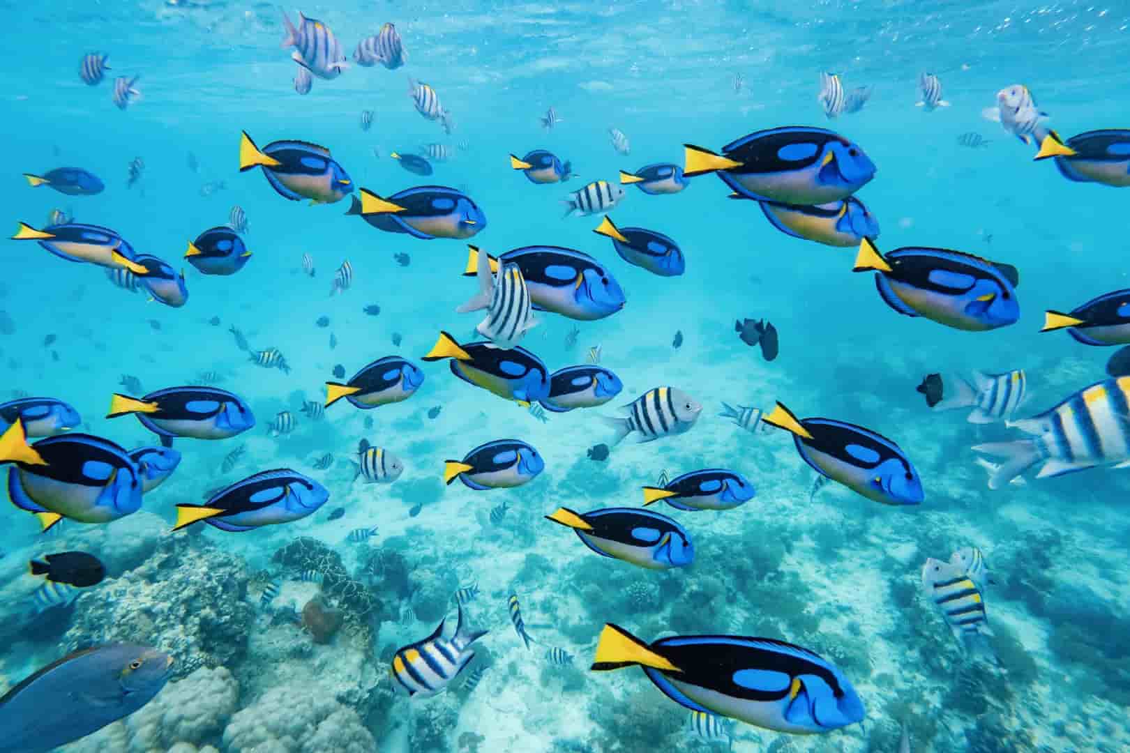 Thumbnail 11 Thumbnail 11