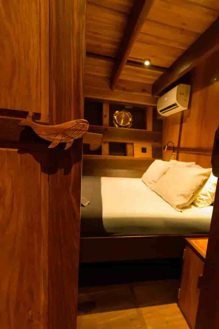 Thumbnail 7 Thumbnail 7