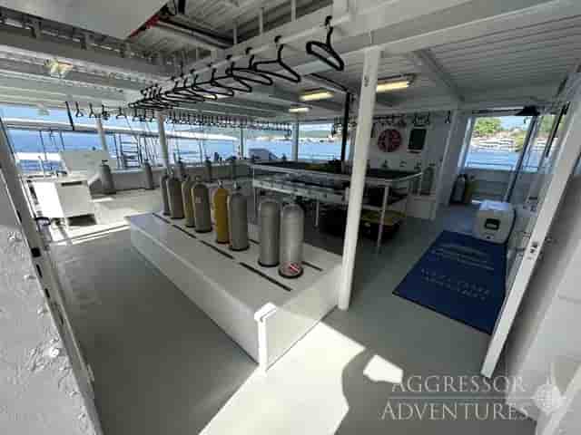 Thumbnail 9 Thumbnail 9