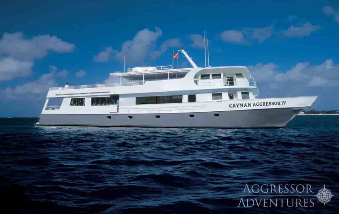 Thumbnail 2 Thumbnail 2