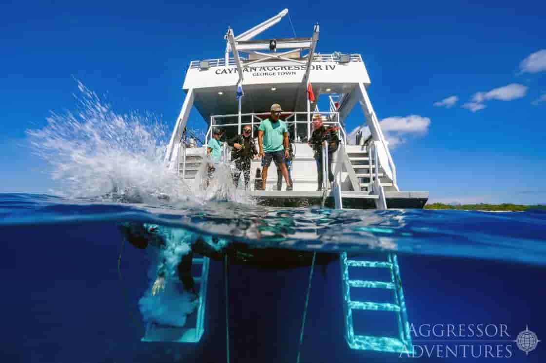 Thumbnail 4 Thumbnail 4