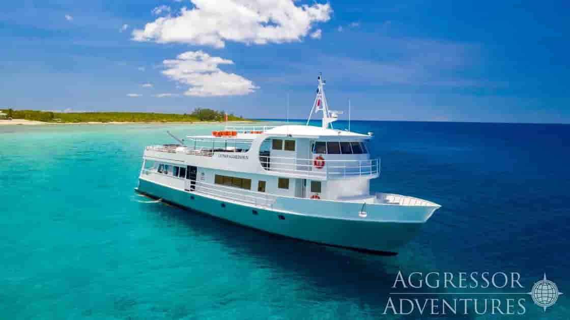 Thumbnail 9 Thumbnail 9