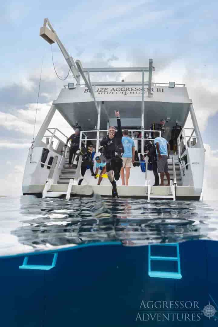 Thumbnail 9 Thumbnail 9