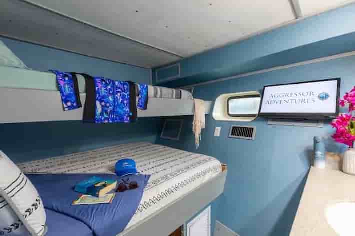 Thumbnail 4 Thumbnail 4