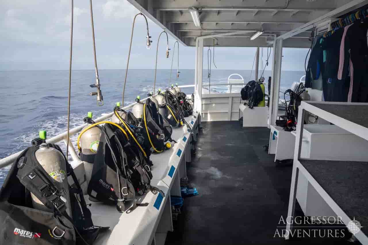 Thumbnail 10 Thumbnail 10