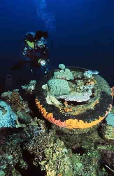 Thumbnail 10 Thumbnail 10