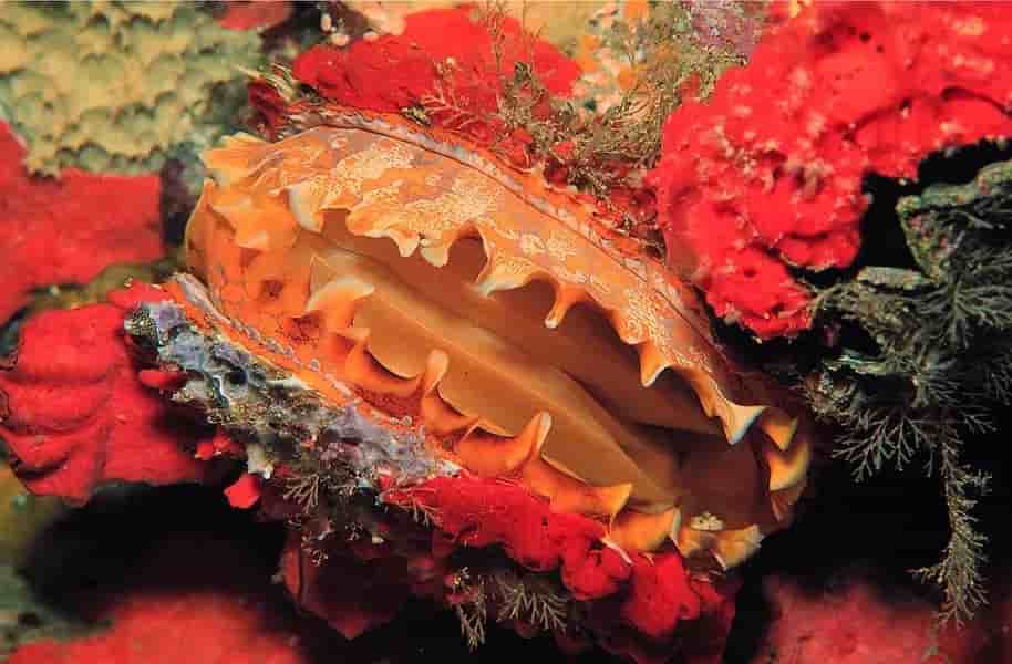 Thumbnail 15 Thumbnail 15