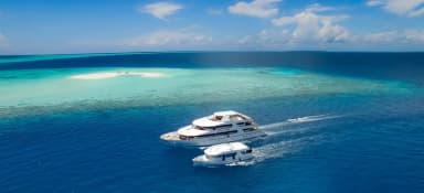 Carpe Vita Carpe Vita