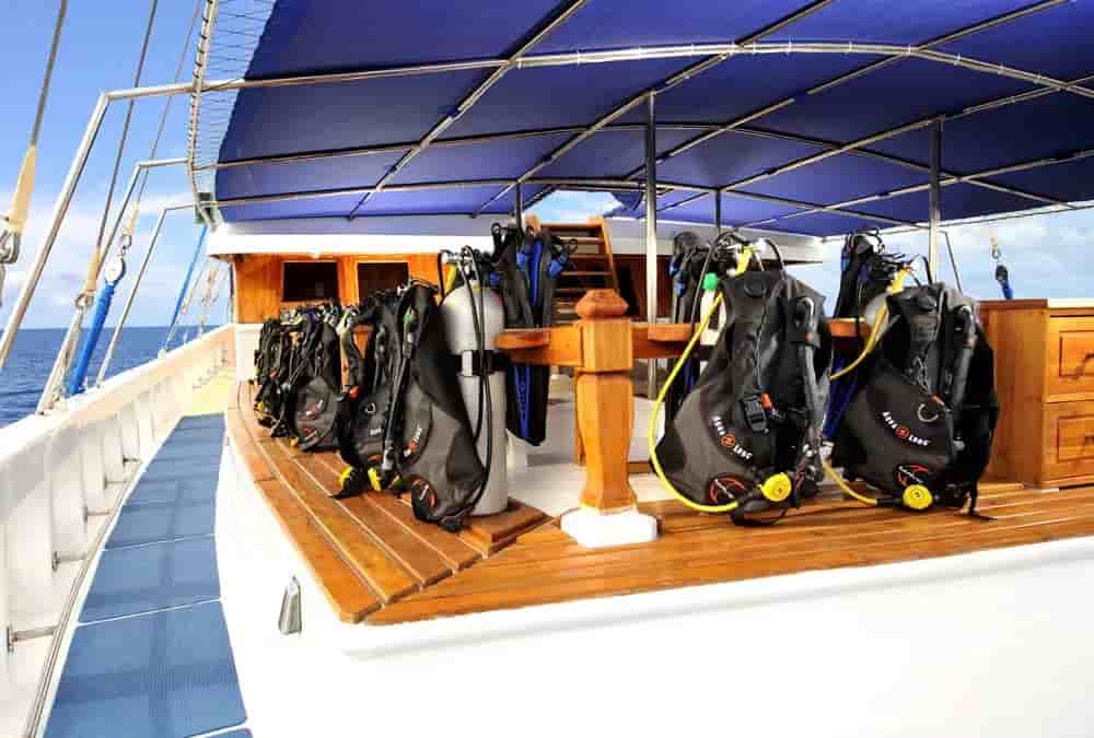 Thumbnail 5 Thumbnail 5