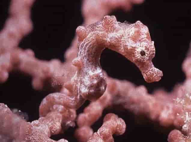 Thumbnail 16 Thumbnail 16