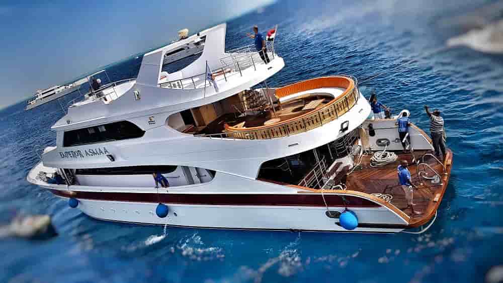 Thumbnail 5 Thumbnail 5