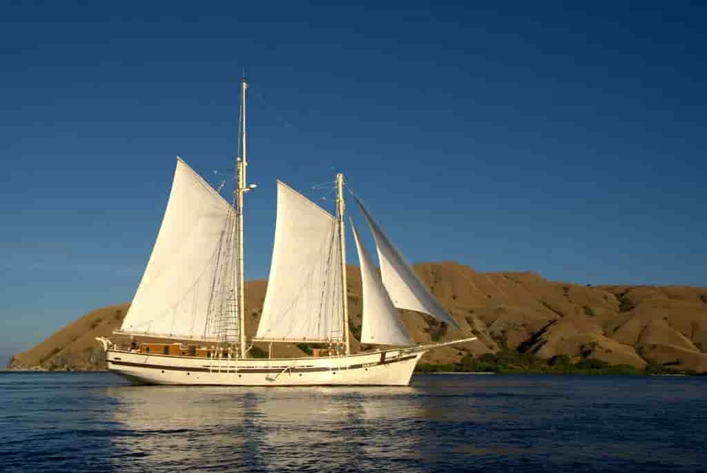 Thumbnail 1 Thumbnail 1