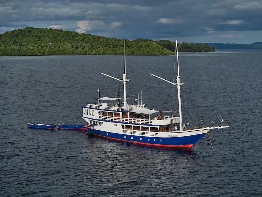 Pearl of Papua - image Pearl of Papua - image