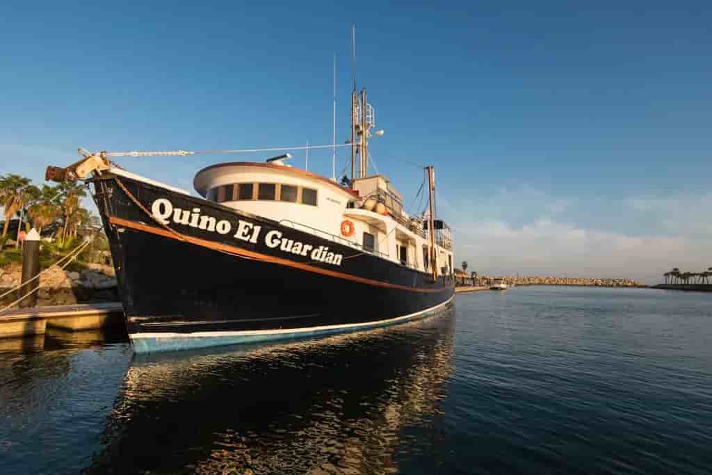 Thumbnail 10 Thumbnail 10