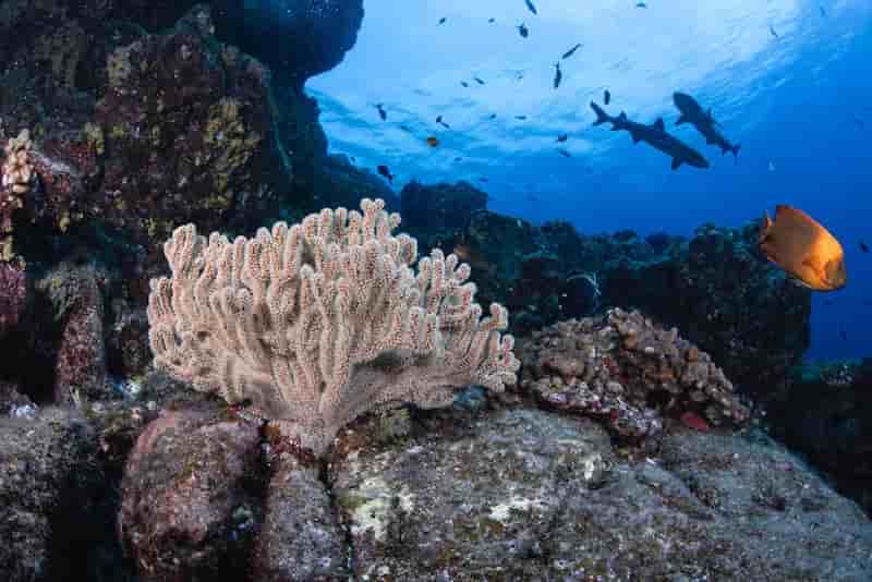 Thumbnail 4 Thumbnail 4