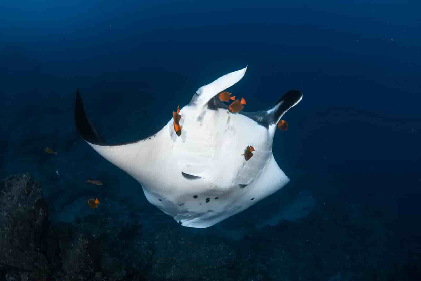 Thumbnail 5 Thumbnail 5