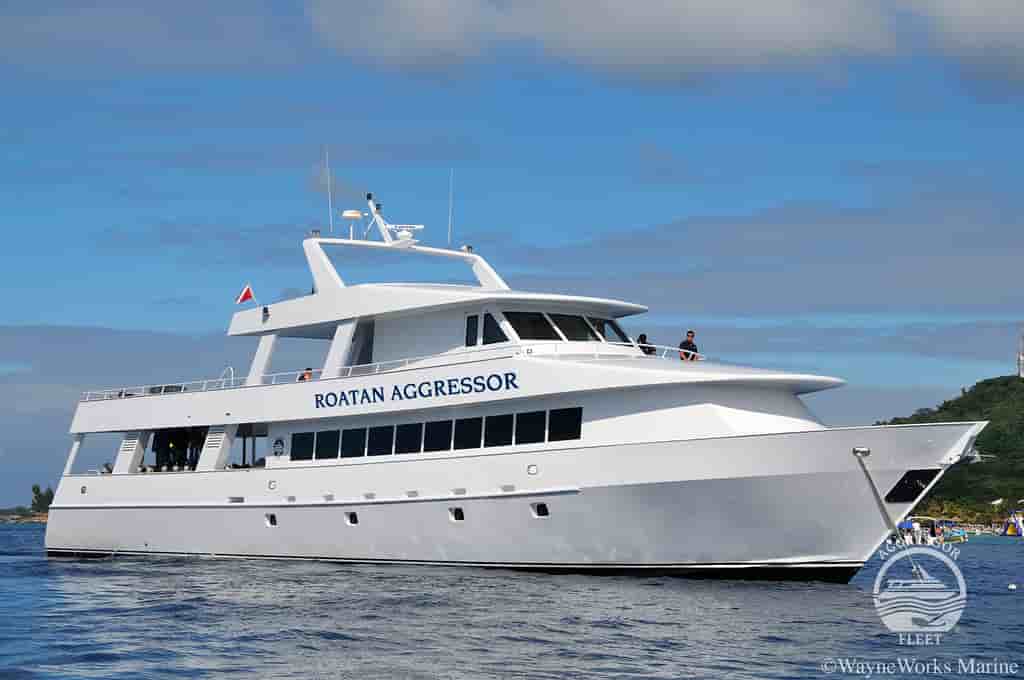 Thumbnail 1 Thumbnail 1