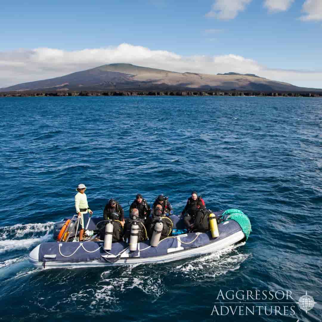 Thumbnail 17 Thumbnail 17