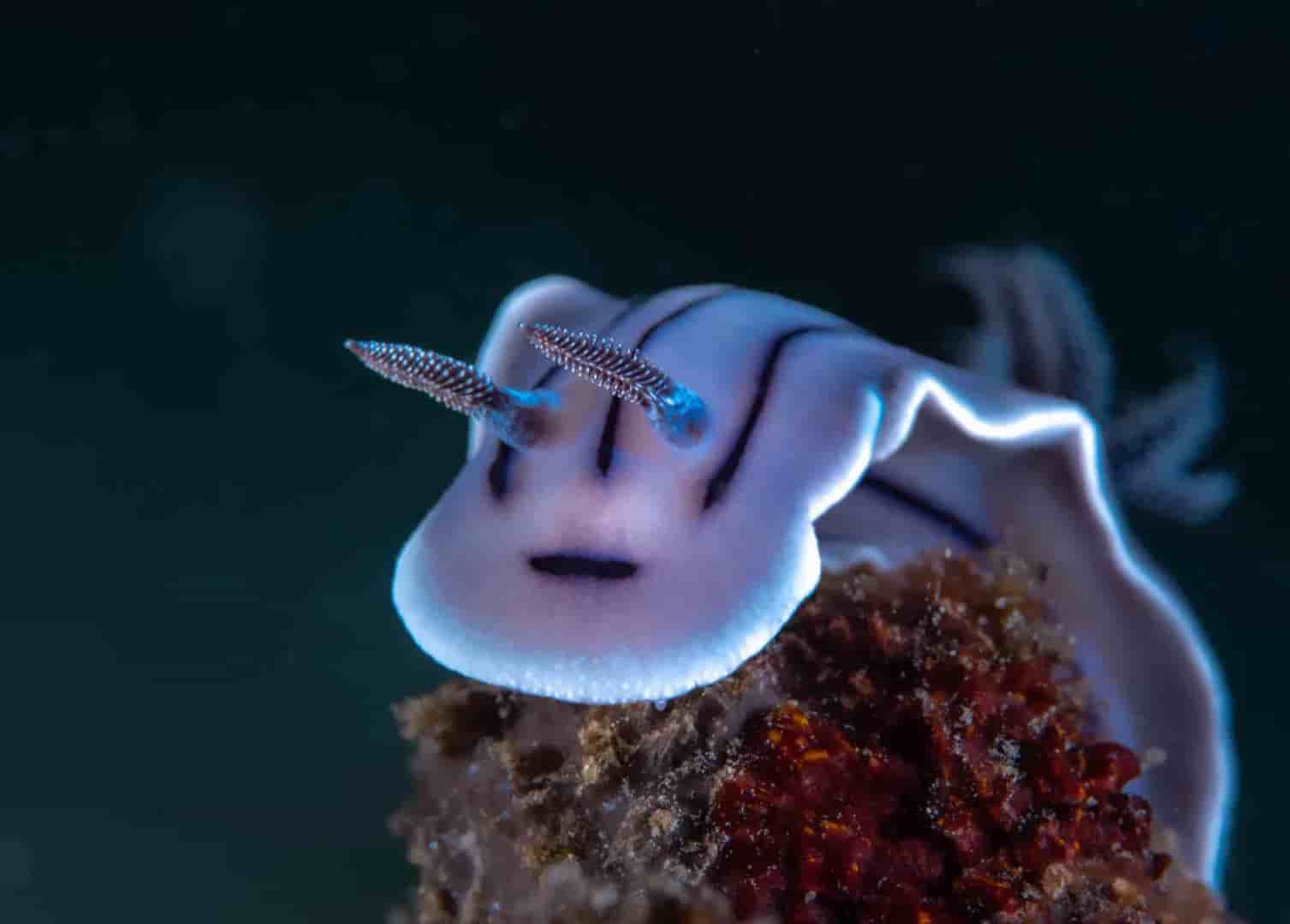 Thumbnail 14 Thumbnail 14