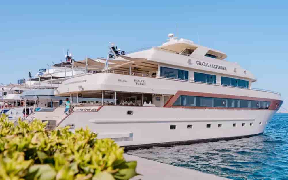 Thumbnail 1 Thumbnail 1