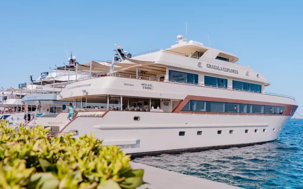 Ghazala Explorer - image Ghazala Explorer - image