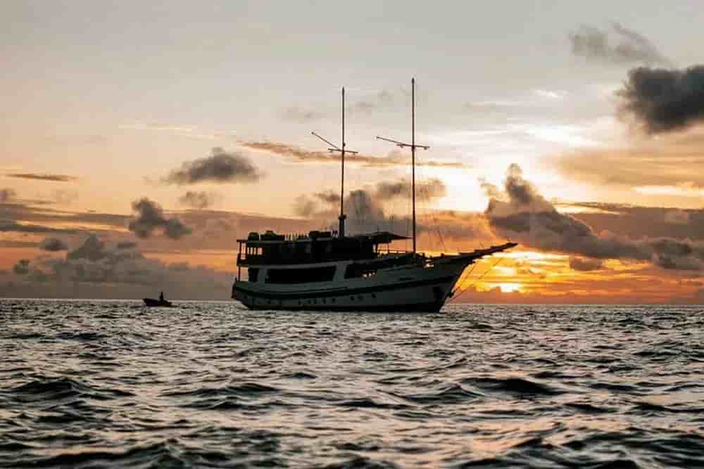 Thumbnail 4 Thumbnail 4