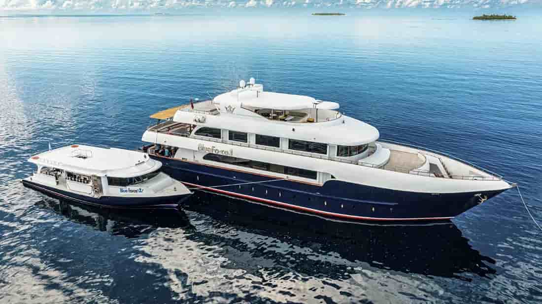 Thumbnail 11 Thumbnail 11